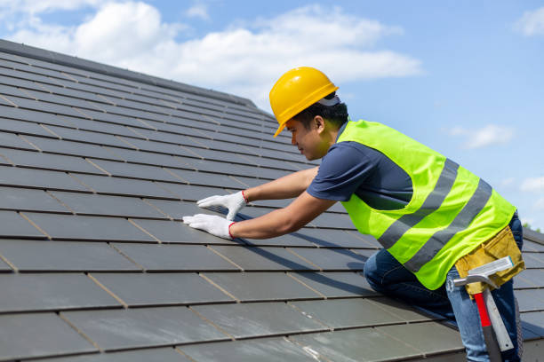 Best Metal Roofing Contractor  in La Crescent, MN
