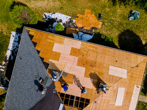 Best Residential Roofing Contractor  in La Crescent, MN