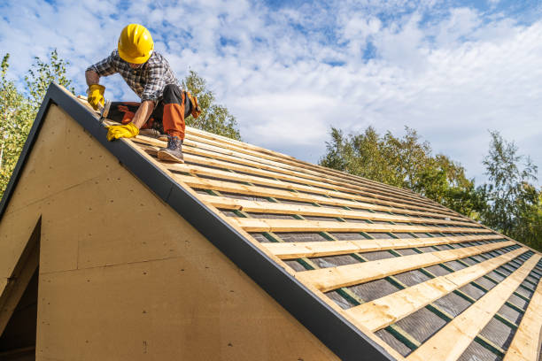 Best Shingle Roofing Installation  in La Crescent, MN