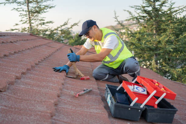 Best Residential Roofing Contractor  in La Crescent, MN