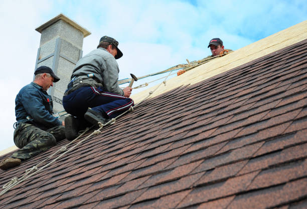 Best Affordable Roofing Company  in La Crescent, MN